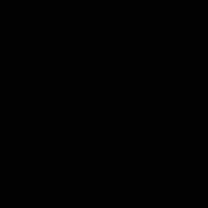 Meet your Posher, Celeste